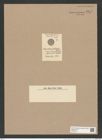 Coscinodiscus subdivicus Witt. (de-Toni-Nr.: Genus 202, Species 5116) Zeichnungen Sammlung Grunow Nr. 8877 (NHMW-BOT-W0378521)